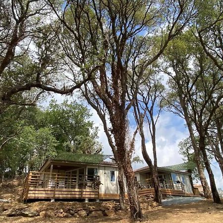 Les Chalets Des Iles Borgo  Exterior photo